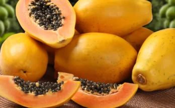 Papaya Nutritional Value, Health Properties, And Benefits