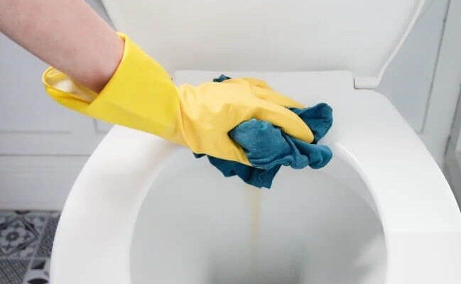 Halcyan Water Conditioners