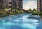 Solano Grand vs Wynwood Grand: Which Is Better for First-Time Homebuyers?